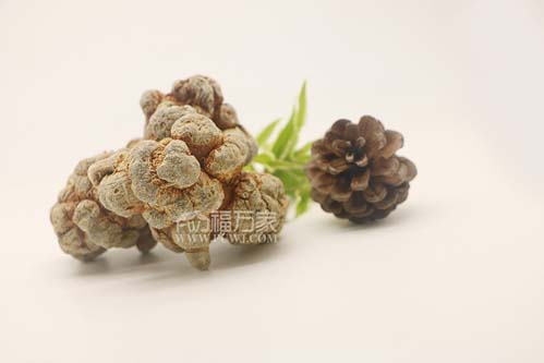 三七的功效是炒作的、假的嗎？
