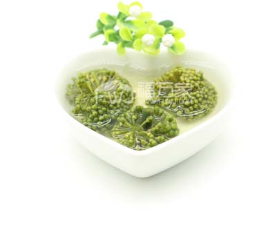 四年三七花哪里買？多少錢一斤
