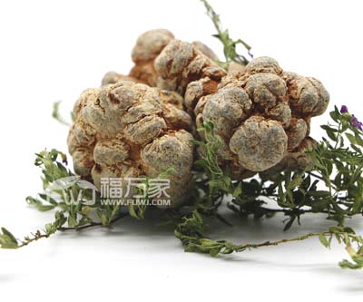 血脂高能不能喝三七粉？