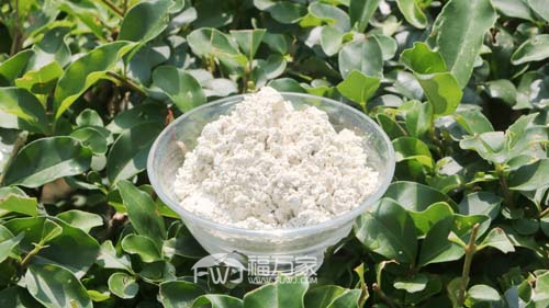 幾歲吃三七粉