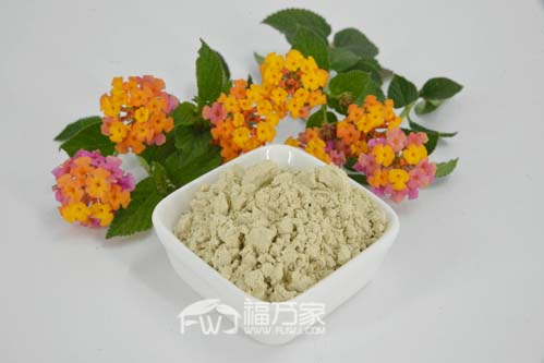 三七粉熱性大嗎
