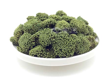 哪里買(mǎi)三七花